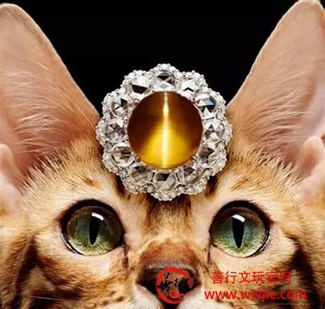 涨知识|关于“猫眼”宝石内容详解_珠宝学院_MEMORA/诗普琳