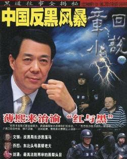 中国反黑风暴 - 搜狗百科