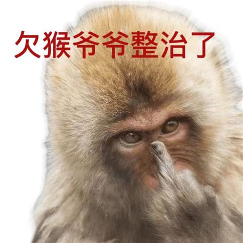 六月未央(表情包)图片