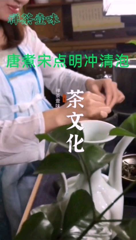宋茶茶图片