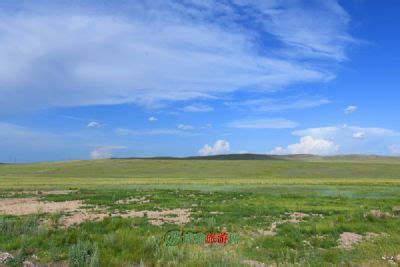 西藏那曲高寒草地生态系统野外科学观测研究站----中国科学院生态系统网络观测与模拟重点实验室