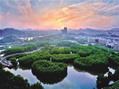 【惠州文脉·聚焦】“绿美广东”成热频词，惠州如何擦亮“绿色”品牌？