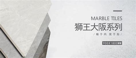 狮王瓷砖大阪系列新品 时尚与质感并存的美学-建材网