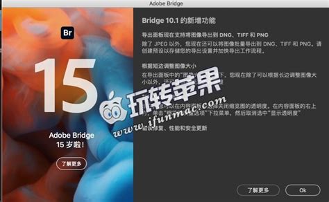 Adobe Bridge 2020.1 for Mac 中文破解版下载 -素材资源管理工具 | 玩转苹果