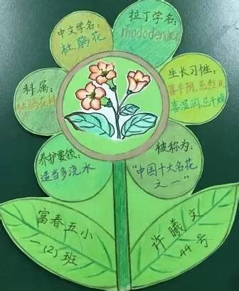 三年级的植物贺卡(三年级下册植物贺卡) - 抖兔教育