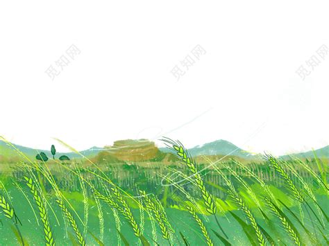 农田水稻熟了素材图片免费下载-千库网