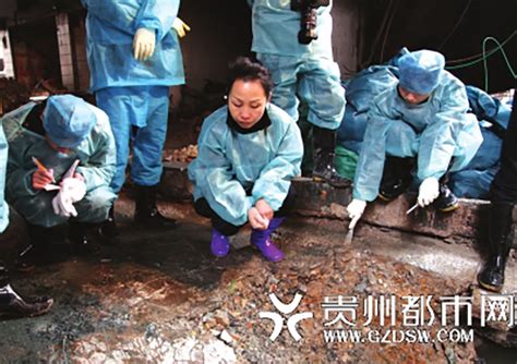 解剖尸体150多具 怀孕9个月仍在血案现场 85后女法医上演现实版《鉴证实录》-中国长安网