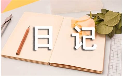 《日记》图片