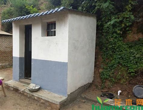 2019年农村厕所改造补贴标准-政策法规-中国花木网