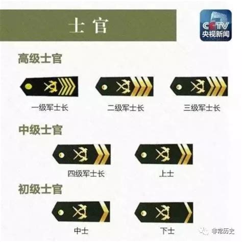 军队领章（军装上的领章和肩章） - 科猫网
