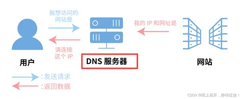 【DNS】域名解析服务