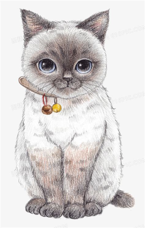 猫咪动漫图片