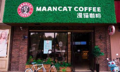 漫猫咖啡加盟条件 创业费要多少_中国餐饮网