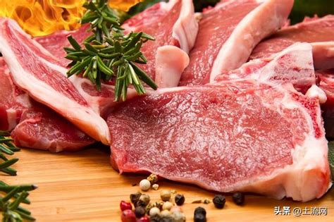 宁夏盐池滩羊肉价格_银川__羊肉-食品商务网