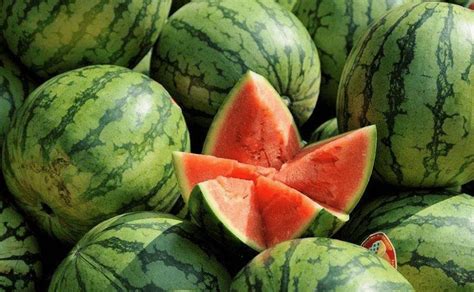 经期吃西瓜了怎么补救，西瓜的功效与作用禁忌 - 鲜淘网