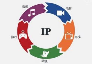 ip是什么意思-太平洋IT百科
