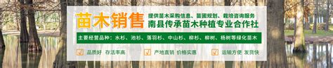 苗木种植专业合作社宣传牌,林业专辑,农林渔牧,摄影素材,汇图网www.huitu.com