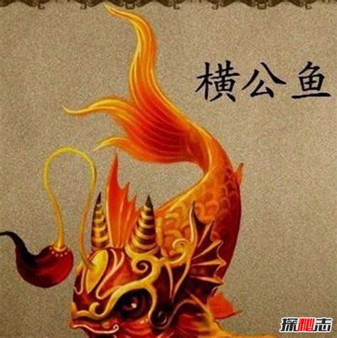 横公鱼图片