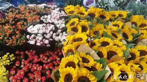 全球最大的鲜花拍卖市场：一天卖出1500万朵花，全程智能化|拍卖|鲜花|花卉_新浪新闻