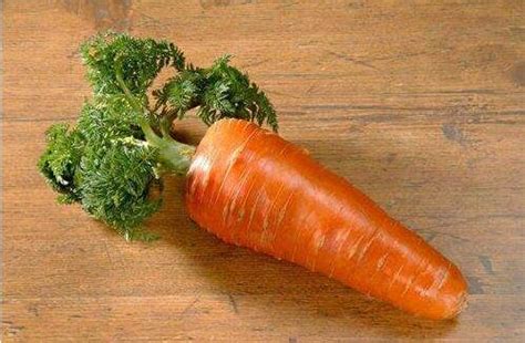 中医养生：萝卜跟它是“天生绝配”，经常吃，最少活到88岁！|萝卜|绝配|养生_新浪新闻