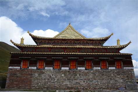门源油菜花，青海省海北藏族自治州的门源县