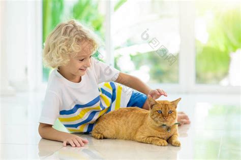 孩子在家喂猫孩子和宠物金发碧眼的小男孩在图片-包图网企业站