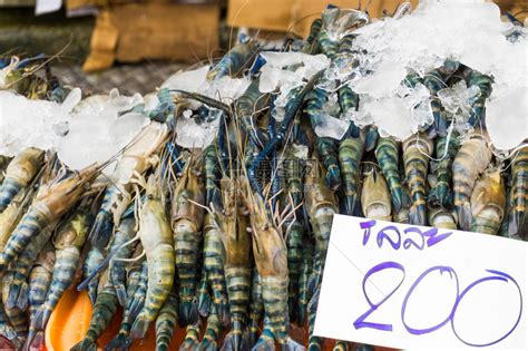 冰上新鲜的海虾鱼市高清图片下载-正版图片507318793-摄图网