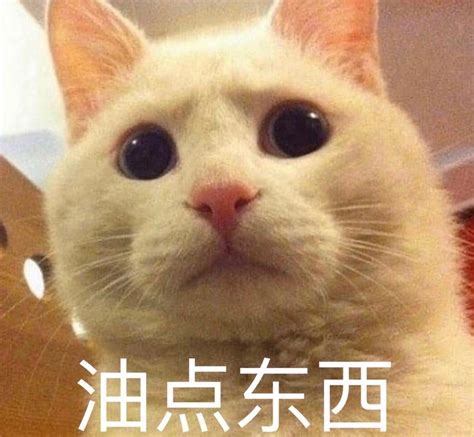 油腻腻的表情包图片