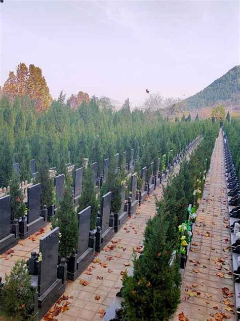 已购用户王先生对廊坊万桐园公墓环境做了评价-北京陵园网