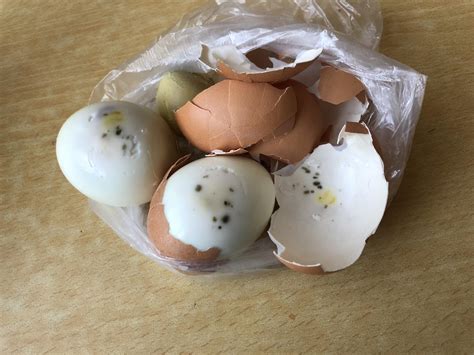 上海应用技术大学食堂销售霉变鸡蛋？校方回应|上海应用技术大学|霉变|鸡蛋_新浪新闻