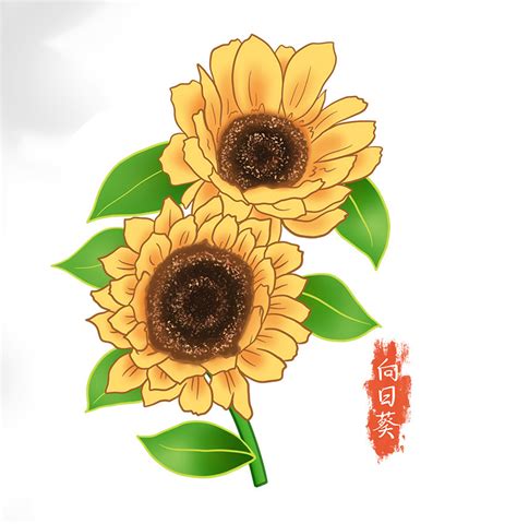 葵葵的头像图片