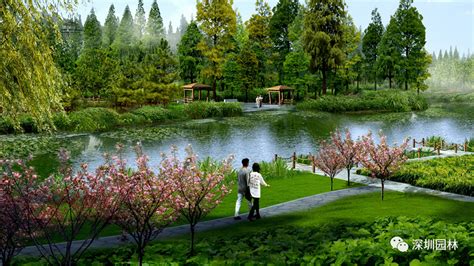 深圳园林设计作品 | 九江芳兰湖湿地公园