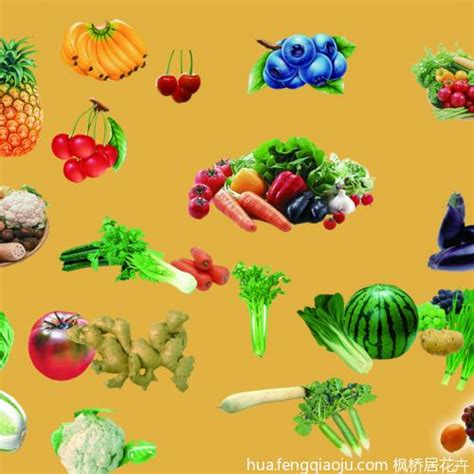 蔬菜大全图片设计元素素材免费下载(图片编号:3656576)-六图网