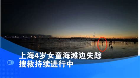 上海4岁女童海滩边失踪 搜救持续进行中|上海市|失踪|救援队_新浪新闻