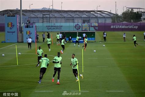 [世界杯]塞内加尔队训练备战_新浪图片