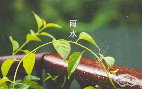 今日雨水丨好雨知时节，当春乃发生_澎湃号·政务_澎湃新闻-The Paper