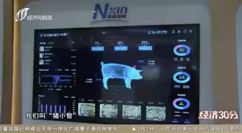 “猪联网”亮相山西经济与科技频道，助力山西养猪科技赋能 - 知乎