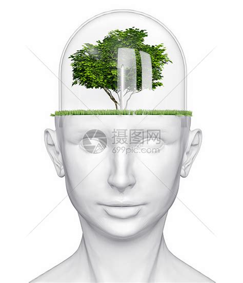 带树的白色人头3D高清图片下载-正版图片300458312-摄图网