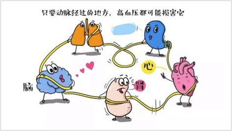 【科普】高血压患者如何进行自我管理-天津中医药大学二附属医院-站群网站发布