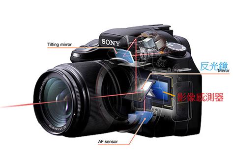照相机单反和微单的区别（新手学摄影教你如何正确选择数码相机） – 碳资讯