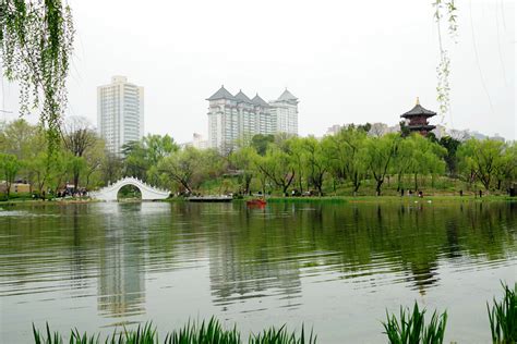 西安兴庆公园郁金香绽放五彩缤纷的花朵给公园平添了一道靓丽风景|兴庆公园|郁金香|西安_新浪新闻