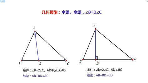 直角三角形的性质和判定_初三网
