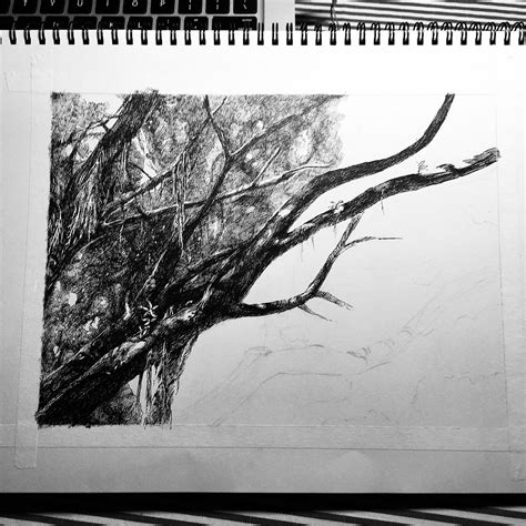 榕树下🌳|纯艺术|钢笔画|麦麦麦先森 - 原创作品 - 站酷 (ZCOOL)