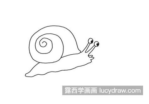 如何画蜗牛的简笔画:蜗牛画法步骤图 - 巧巧简笔画