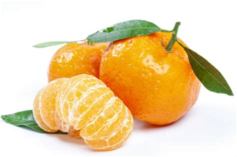 橘子是热性还是凉性 橘子的热量是多少大卡_查查吧