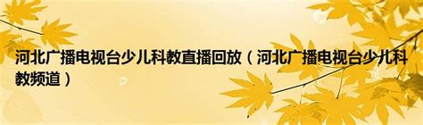刘良业秘书长接受河北电视台少儿科教频道记者采访 - 重要活动 - 河北省传统文化教育学会