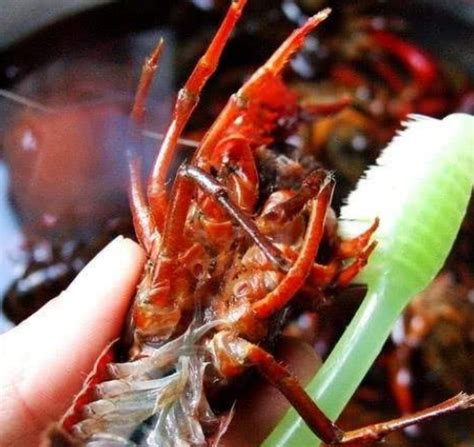 【红烧小龙虾的做法步骤图，红烧小龙虾怎么做好吃】宝宝容_下厨房