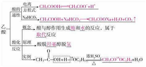 乙醇的结构式如图所示，它在化学反应中化学键的断键方式与化学方程式为