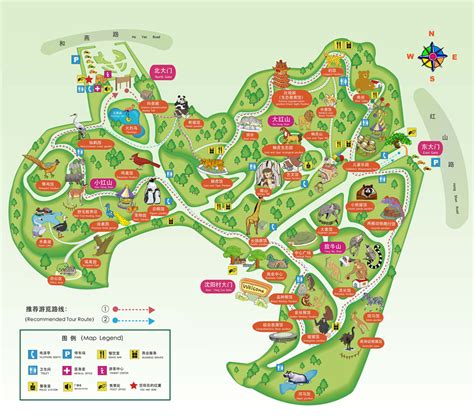 南京红山动物园一日游攻略(南京红山动物园一日游攻略图)-黑龙江旅游网