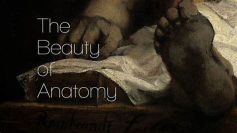 解剖之美《BBC》解剖之美第1集_高清完整版视频在线观看_腾讯视频